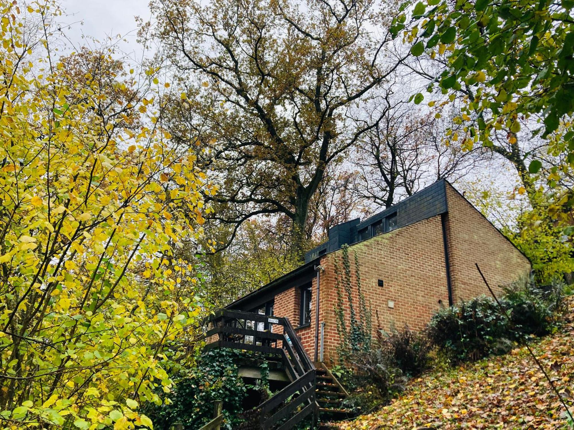 Woody Lodge - Duplex Nature Bonsoy Ardennes Hastiere-par-dela Zewnętrze zdjęcie