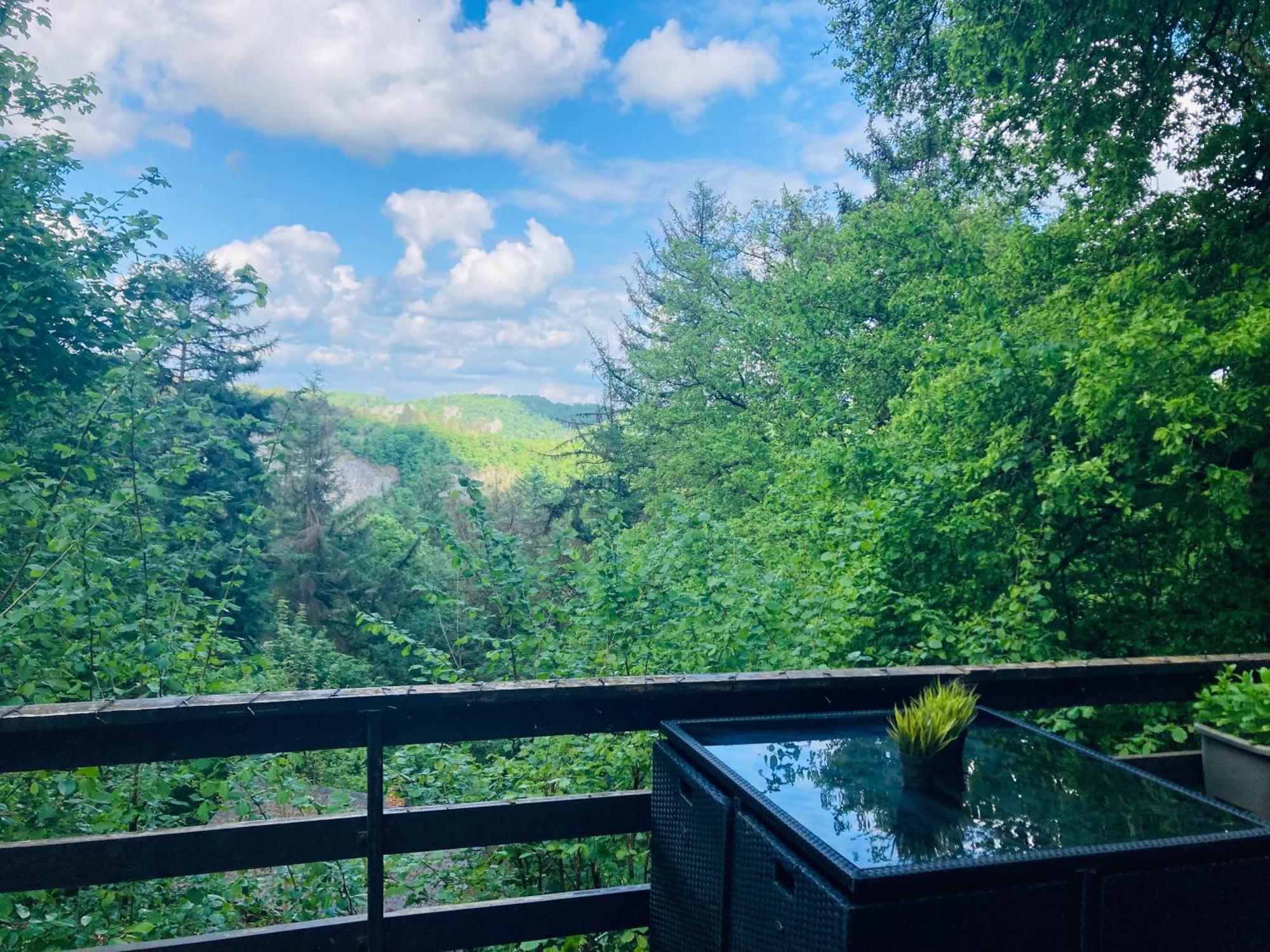 Woody Lodge - Duplex Nature Bonsoy Ardennes Hastiere-par-dela Zewnętrze zdjęcie
